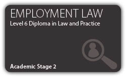 Employment  - Professional Higher Diploma