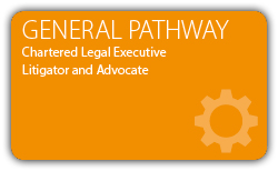 General---Litigator-and-Advocate