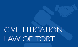 Civil Litigation - Law of Tort