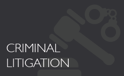 Criminal Litigation